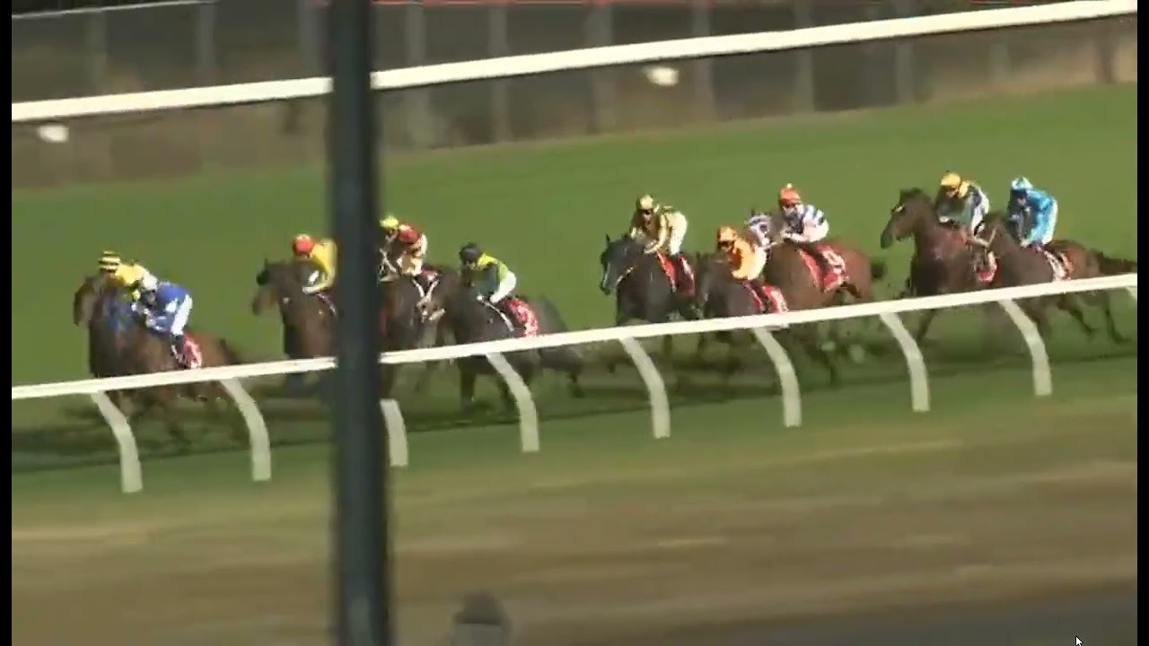 R6 LAUNCESTON - 20 FEB 2026