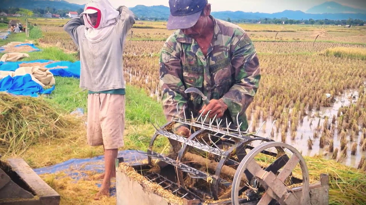 Harvest Machine: Simple Tech for Small-Scale Farming _FarmersLife _Shorts