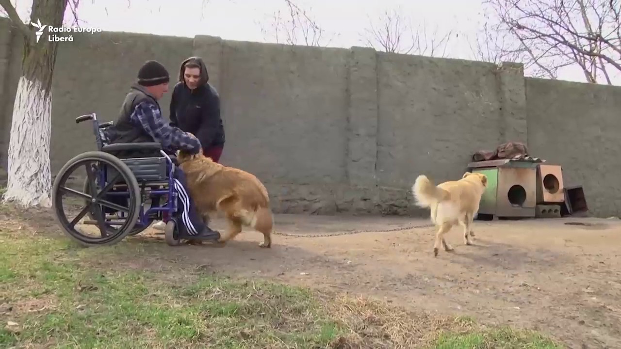 Pur și Simplu: Dreptul de a iubi