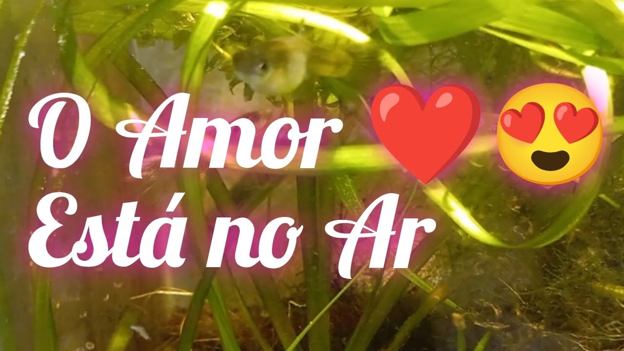 Já está com namorado kkk😀👍🏽