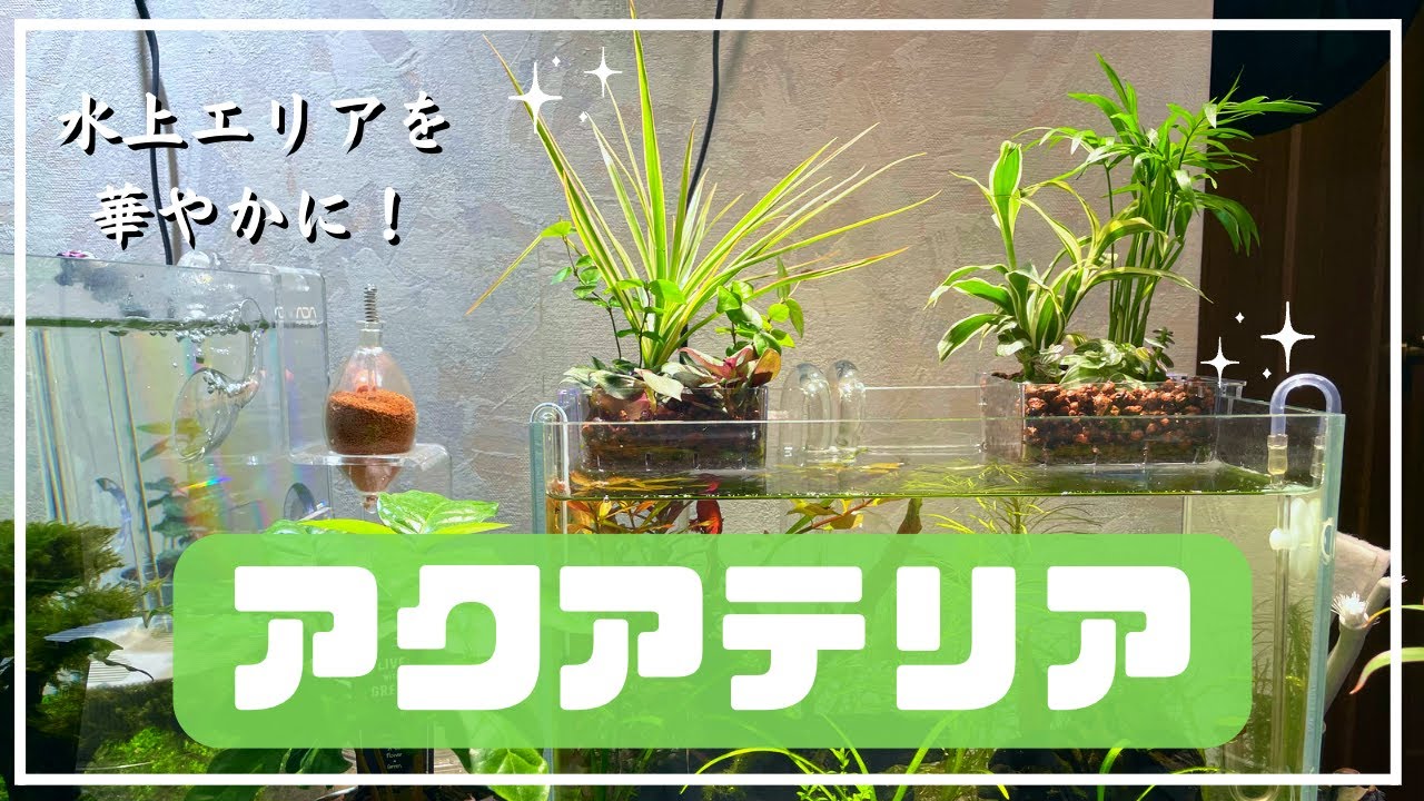 【アクアリウム】誰でも簡単！水上育成。「アクアテリア」