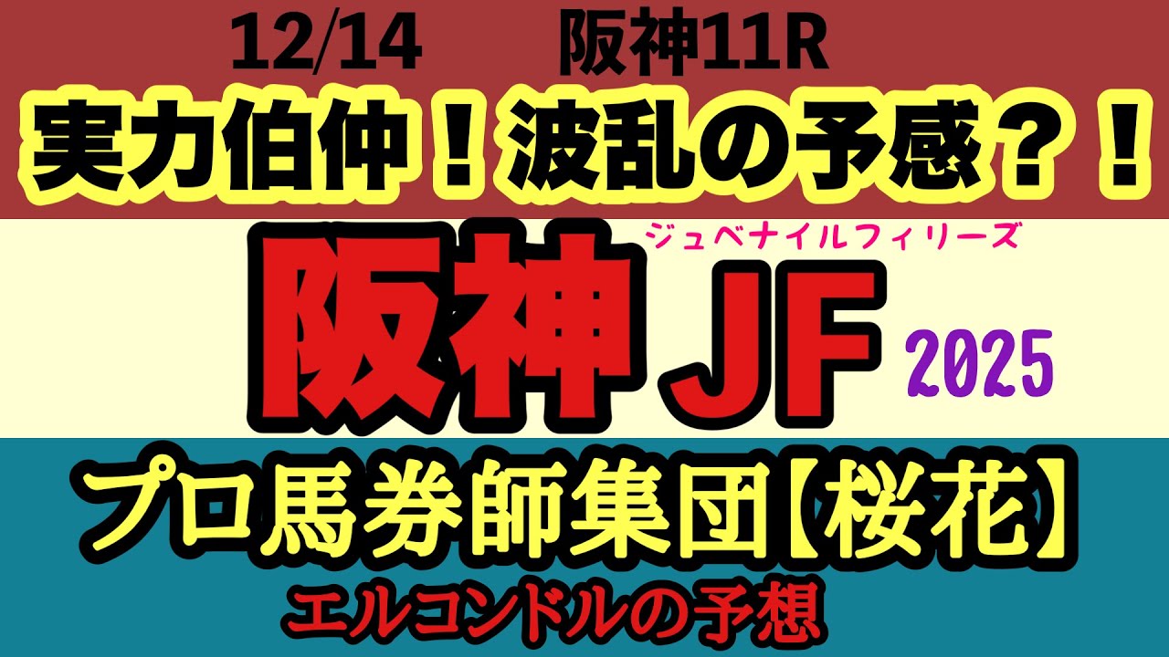 エルコンドル氏の阪神ジュベナイルフィリーズ2025予想｜重賞勝ち馬不在で大混戦！雨馬場で波乱必至の2歳女王決定戦！１番人気アランカールに不安要素も多い中での予想のポイントは！