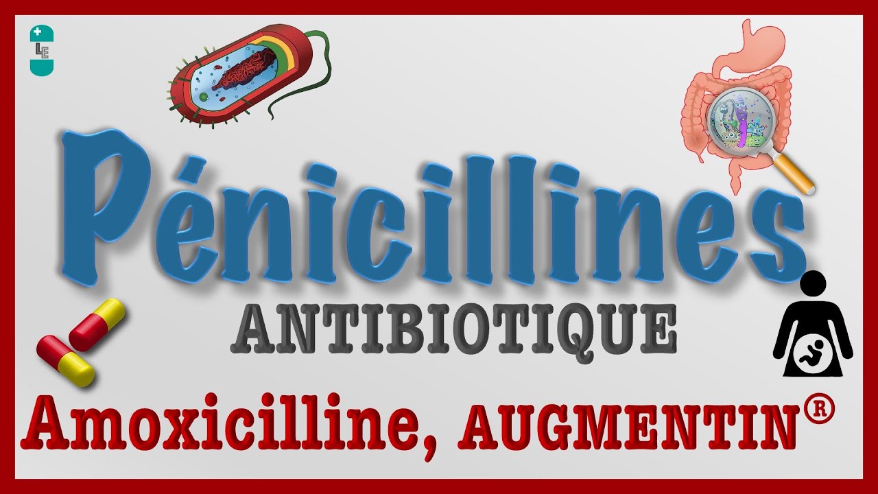 Les Pénicillines - TOUT Savoir : Antibiotiques AMOXICILINE, AUGMENTIN, Pharmacologie et Toxicité