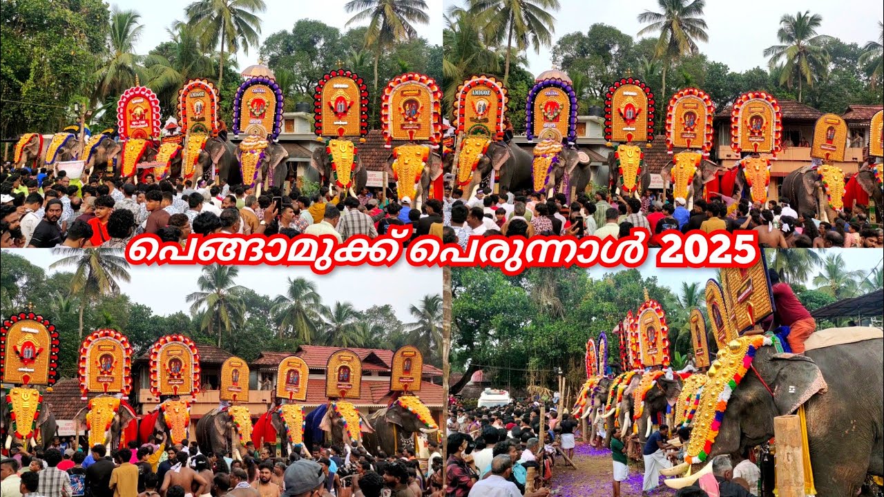 പെങ്ങാമുക്ക് പെരുന്നാൾ 2025 || Pengamuck Perunnal 2025 || 🐘🥁