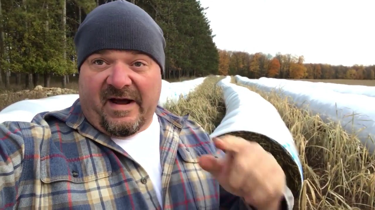 Opening Up The Sorghum Baleage!!!!!