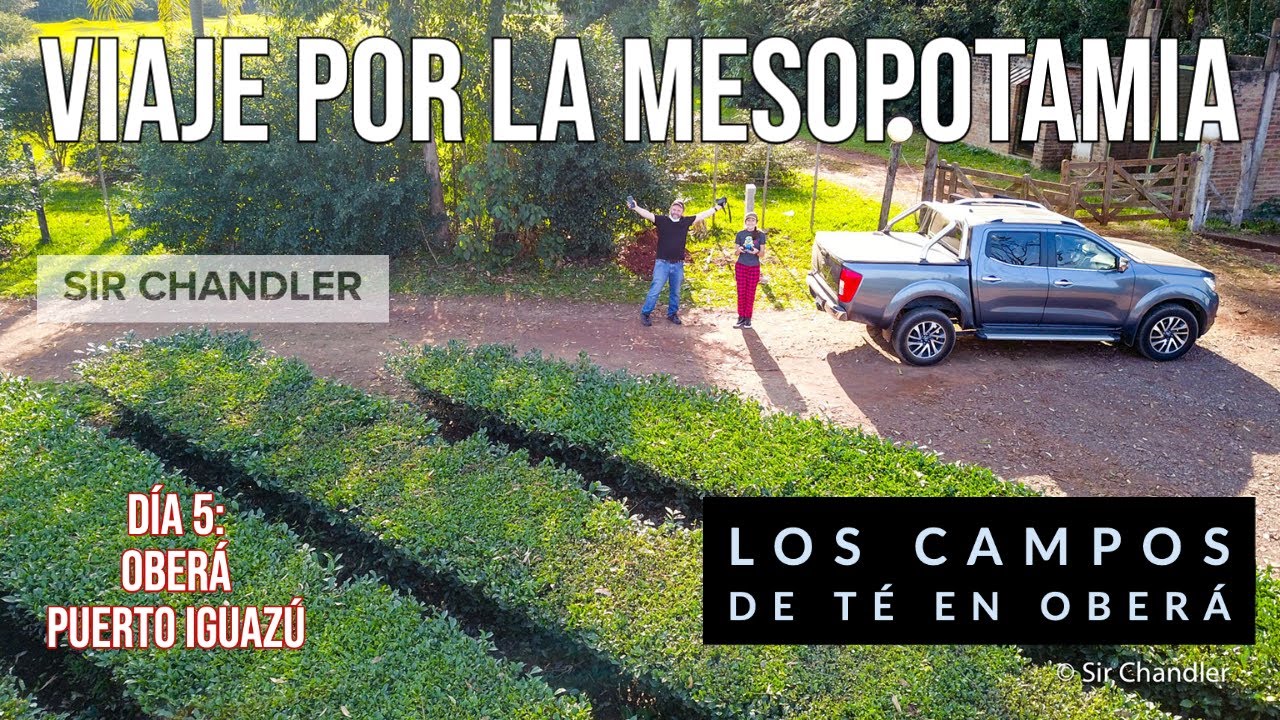 Así nace el té argentino - Desde Oberá a Puerto Iguazú - Mesopotamia día 5