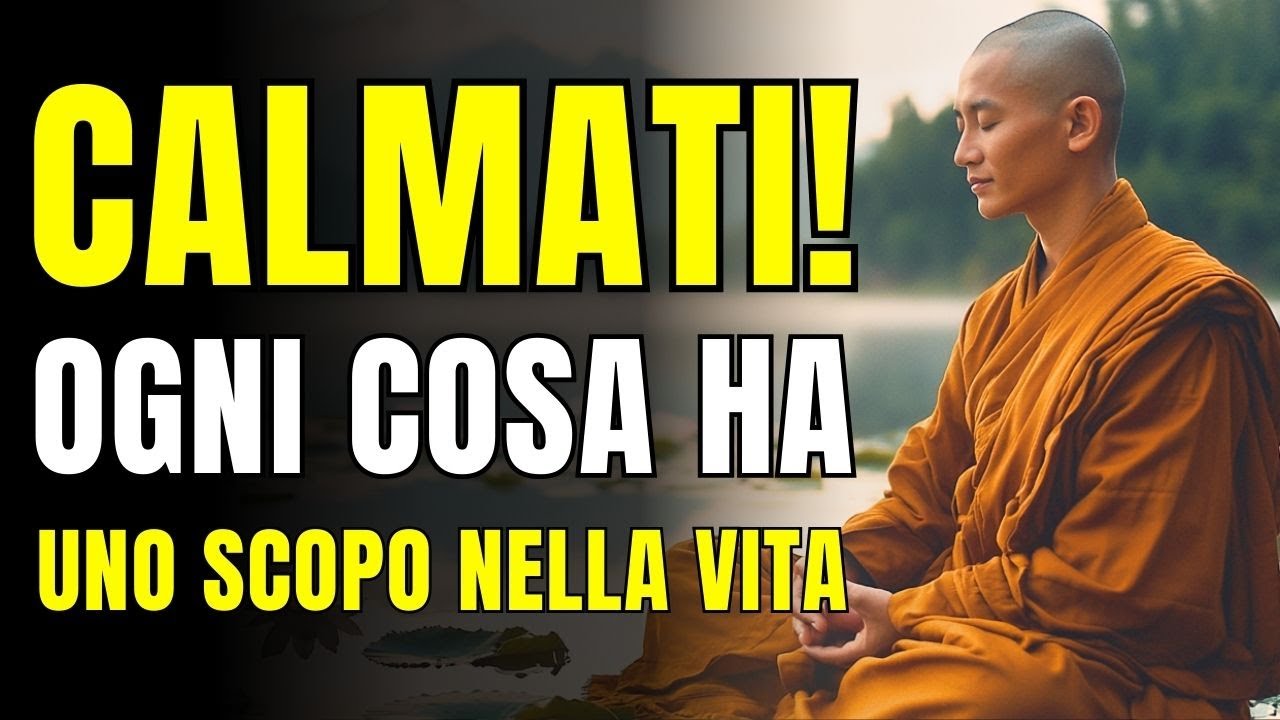 CALMATI! TUTTO NELLA VITA ACCADE PER UNA RAGIONE | Riflessione Buddista | Buddismo