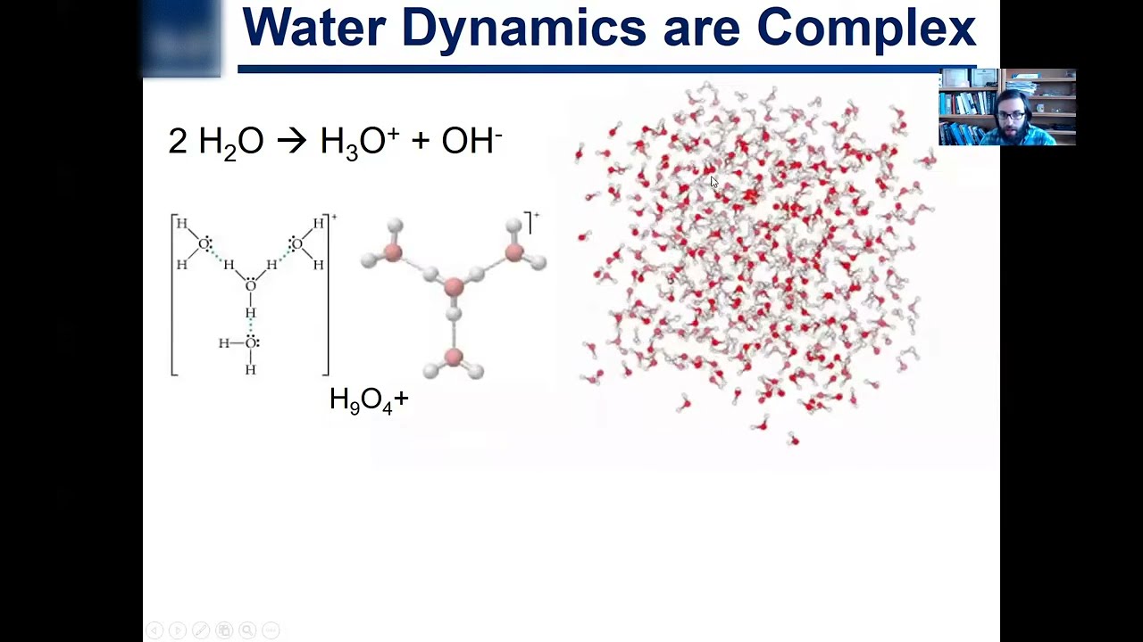 3.1. Bronsted Definition of Acids and Bases