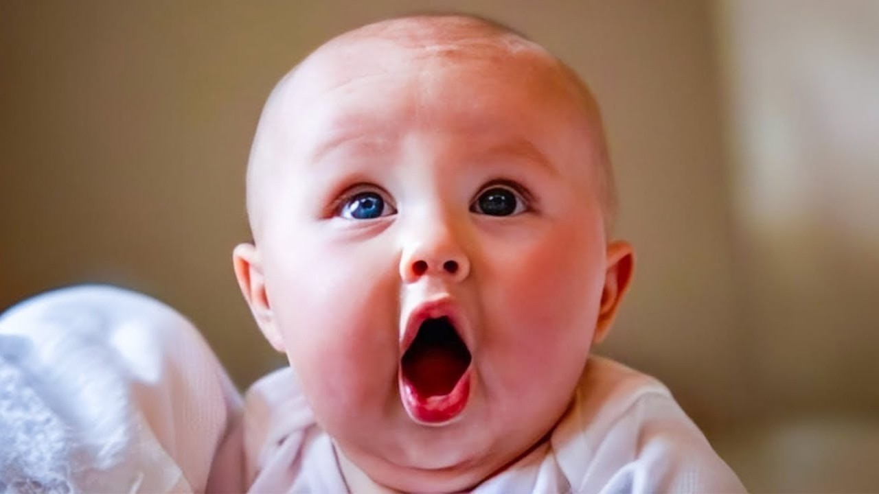 Adorable Baby Reactions That’ll Make You Smile! - Funny Baby Videos