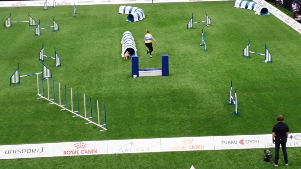ROSEY Heidi Penttila Medium Jumping AWC 2019