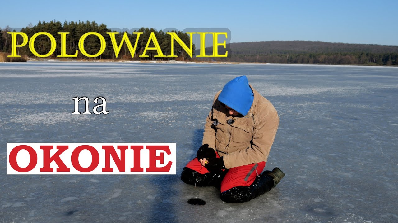 Wędkarstwo podlodowe - Polowanie na okonie