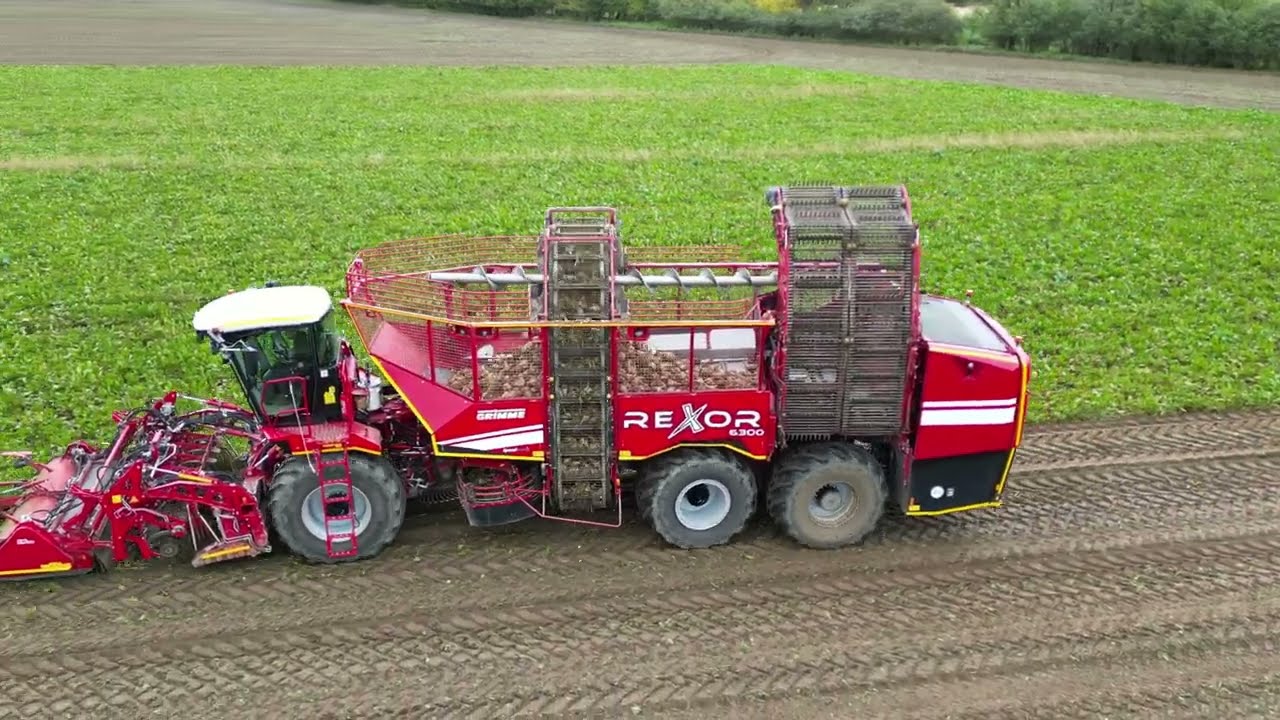 Rübenroder GRIMME/ REXOR /6300