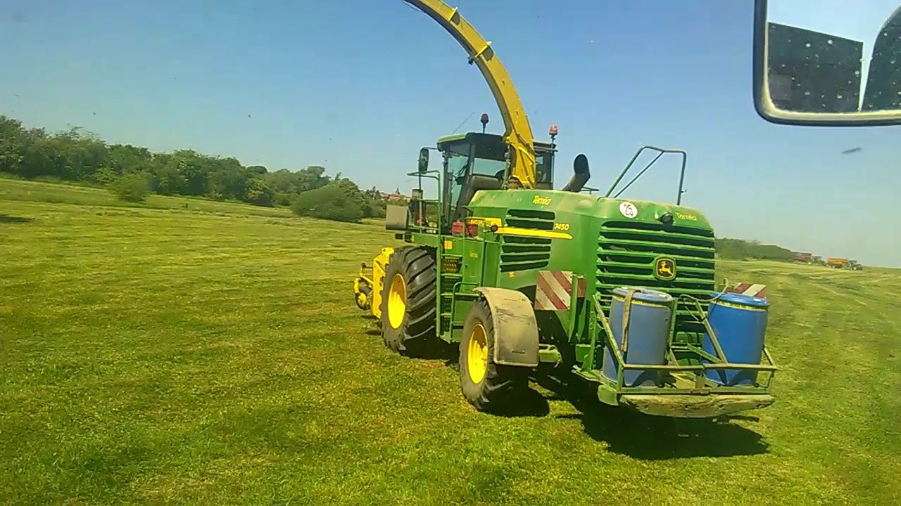 ensilage 2017