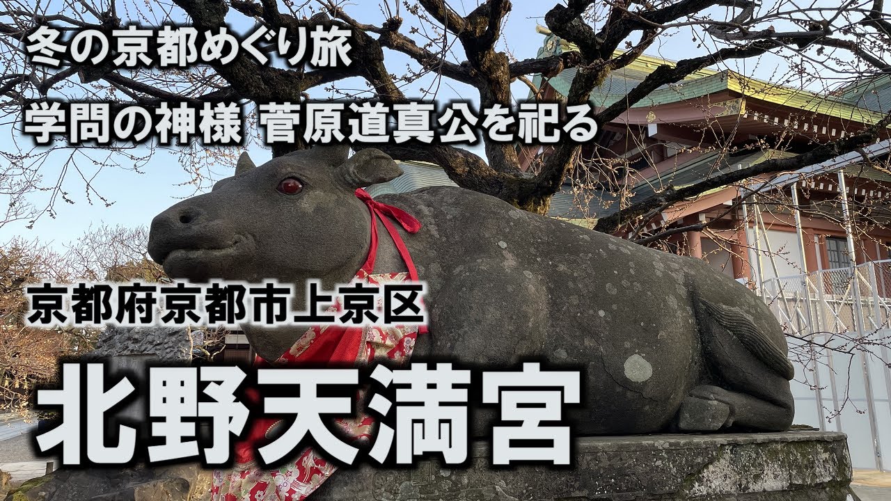 【冬の京都めぐり】 #1 北野天満宮 - 学問の神様として崇敬の厚い菅原道真公を祀る 一願成就のお牛さま