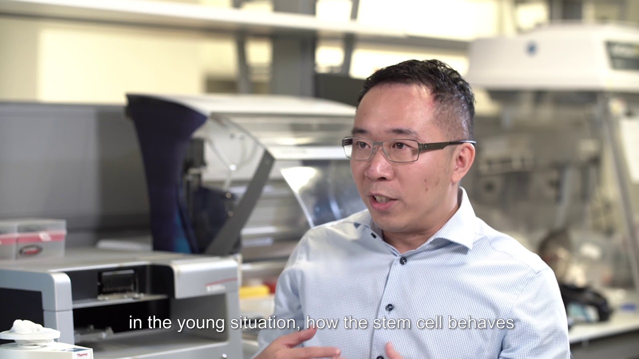 Prof Tom Cheung, S H Ho Professor of Life Science