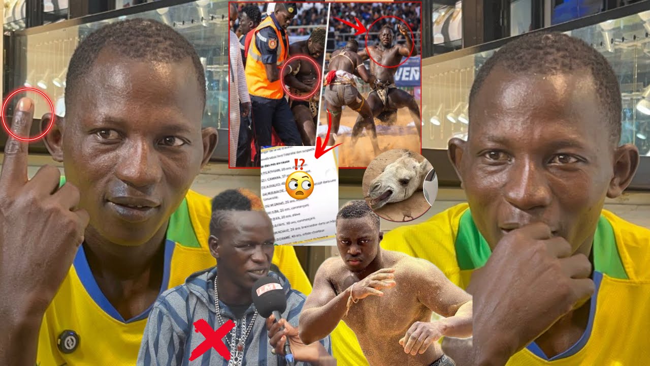 Incroyable: Boy kâ tothie na cas yi, Fils de tigre na dougal rapport