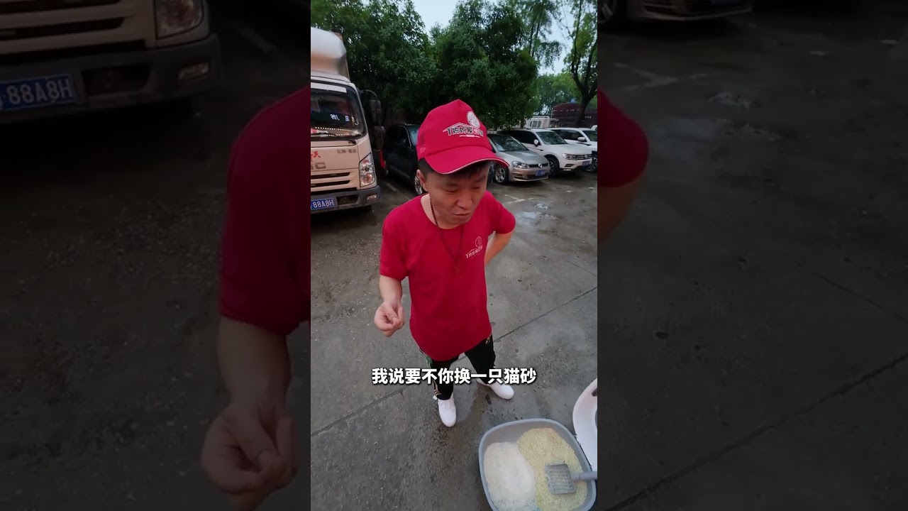 家人们 我去做个美食博主咋样？#壮实说猫 #防漏砂猫砂柜