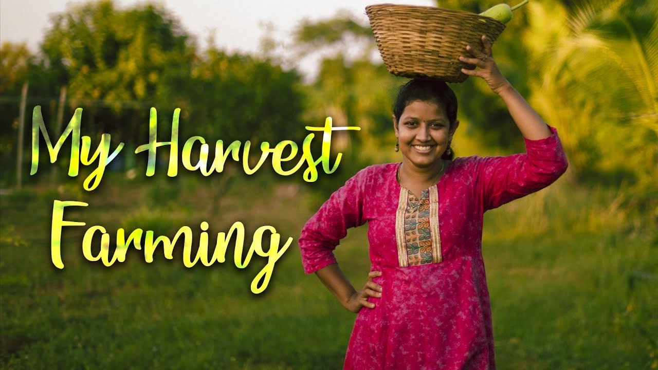 Anna University Engineer to a Natural farmer | Provoke TV