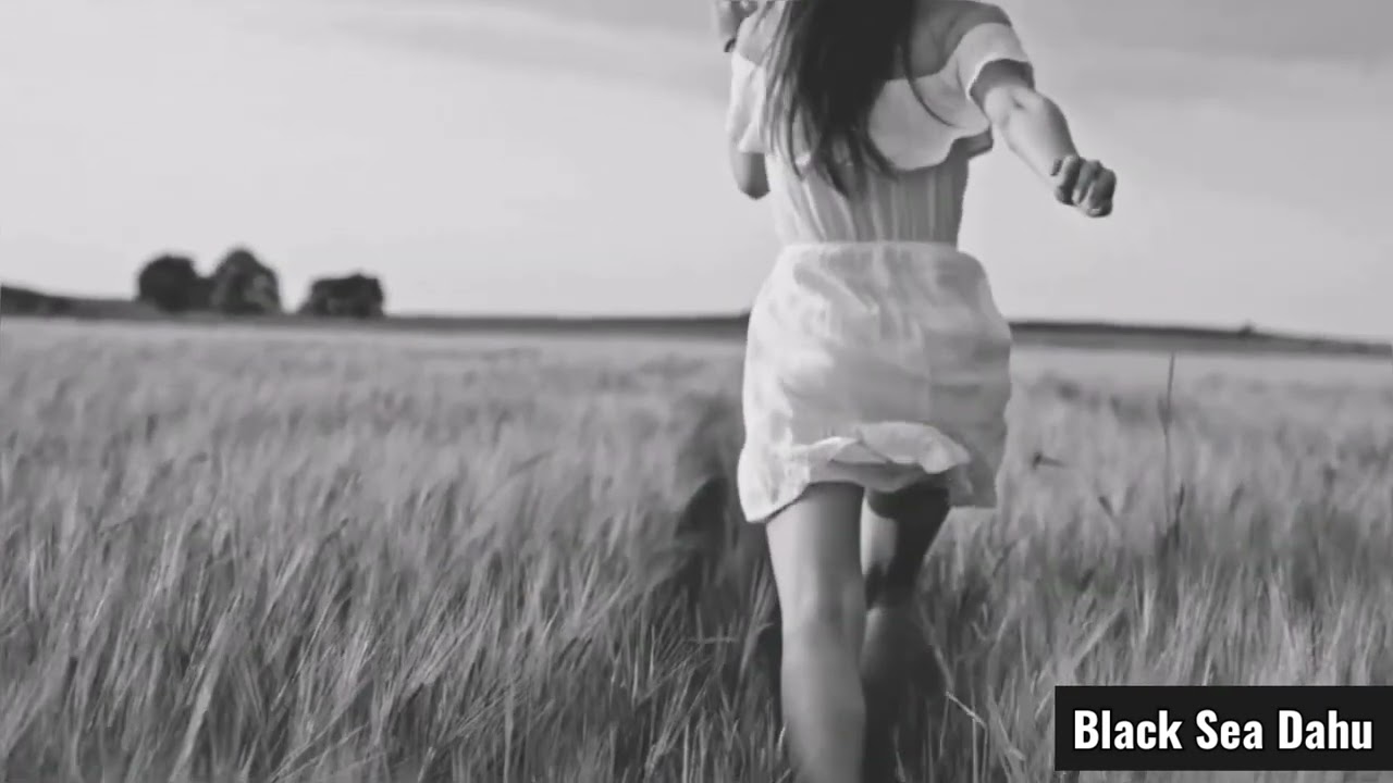 Black Sea Dahu - In Case I Fall For You
