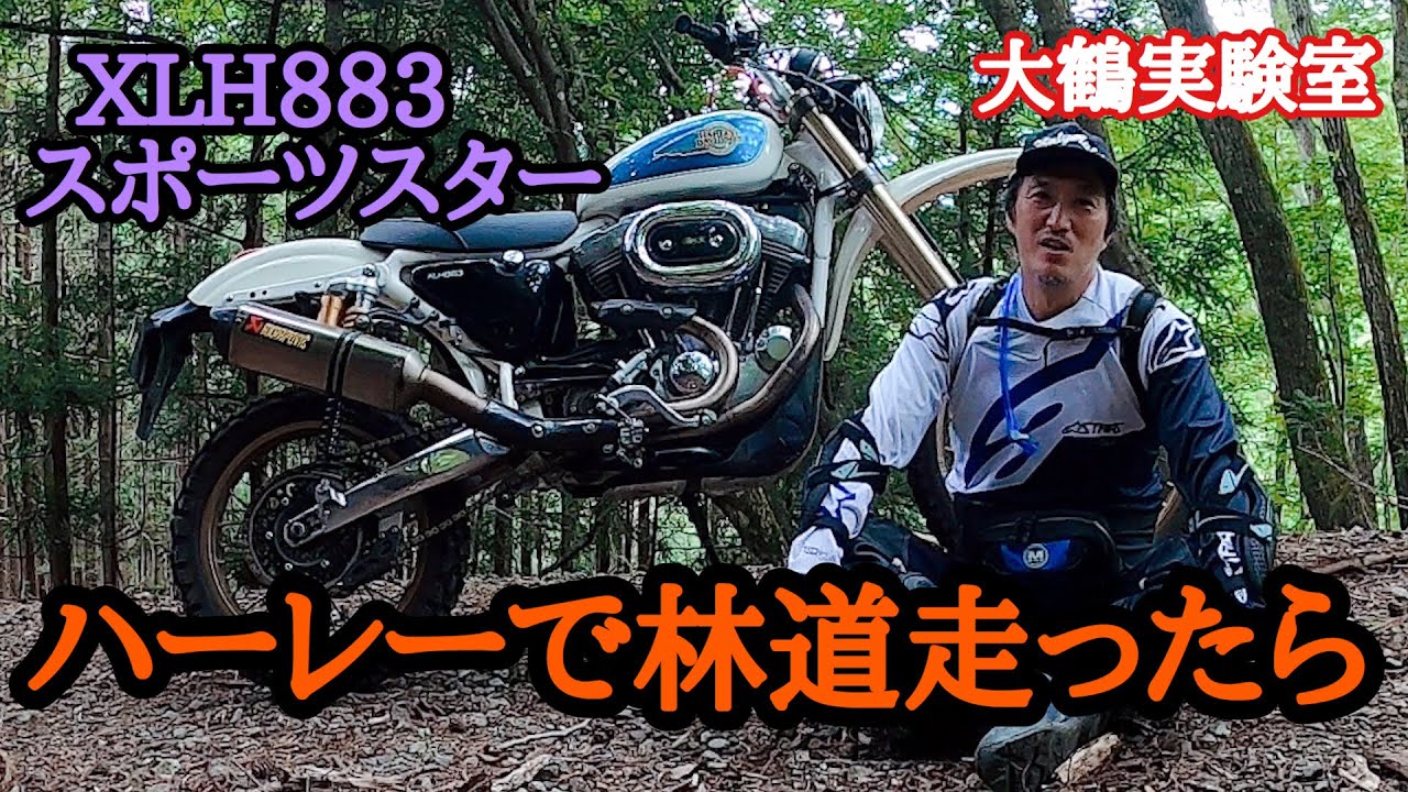 ハーレーで激しく林道してみました Dirty Dirt Harley 883 Crazy Hahahaha !!