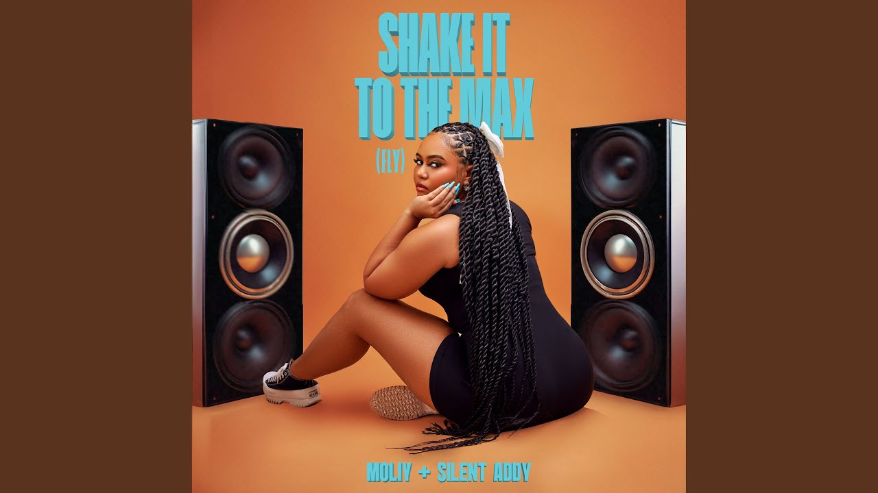 Shake It To The Max (FLY)