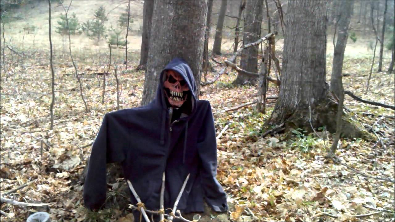 Whats in the woods