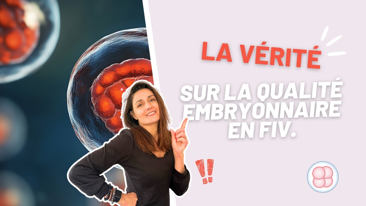 Qualité des embryons : est-ce que la classification est si importante?
