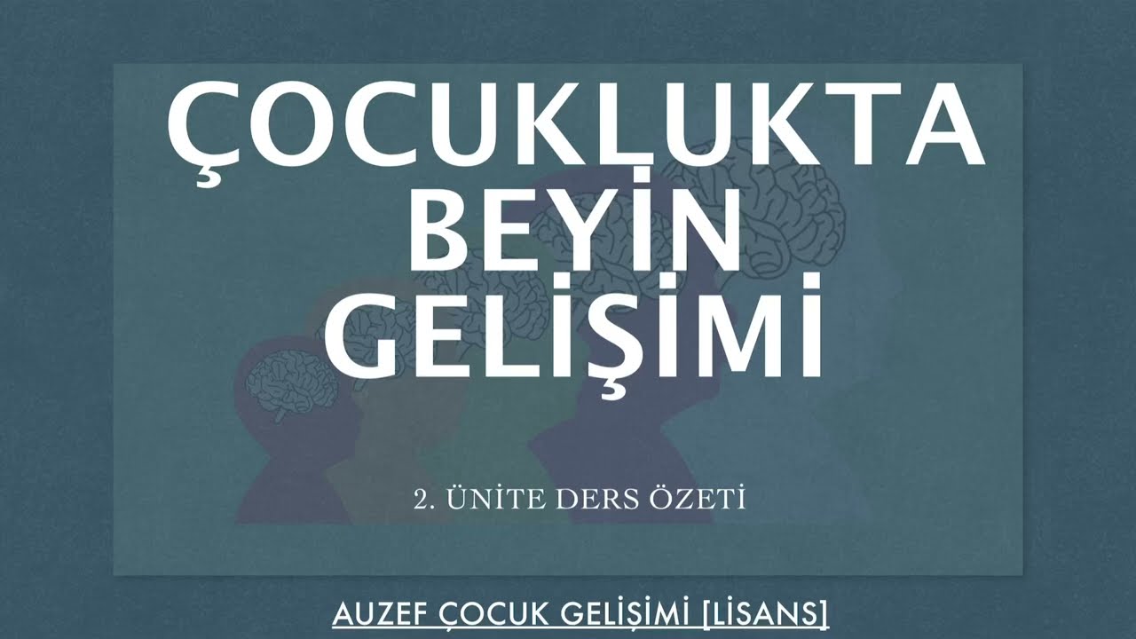 AUZEF/ÇOCUKLUKTA BEYİN GELİŞİMİ/ 2. ÜNİTE DERS ÖZETİ [4. Sınıf]