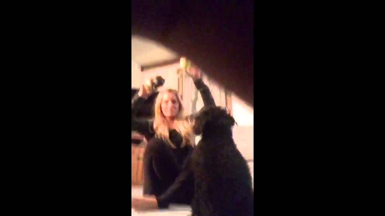 Periscope puppy stream