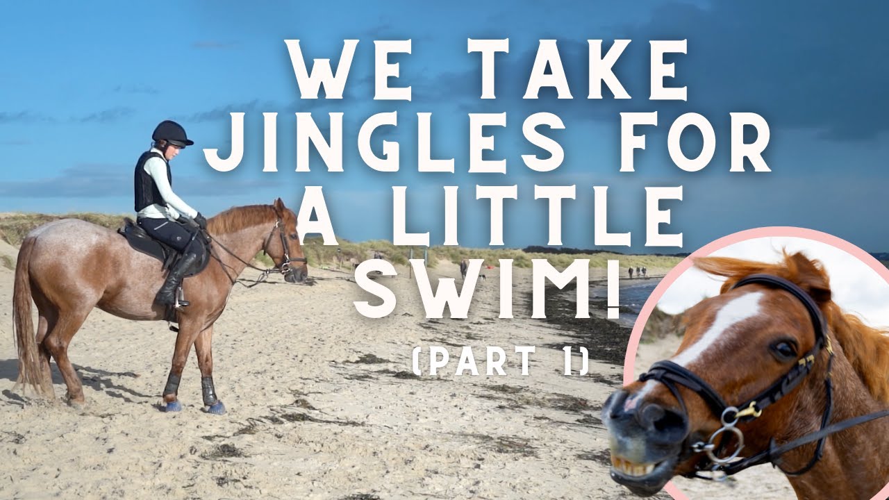We take Jingles for a beach ride and swim! 🏝️
