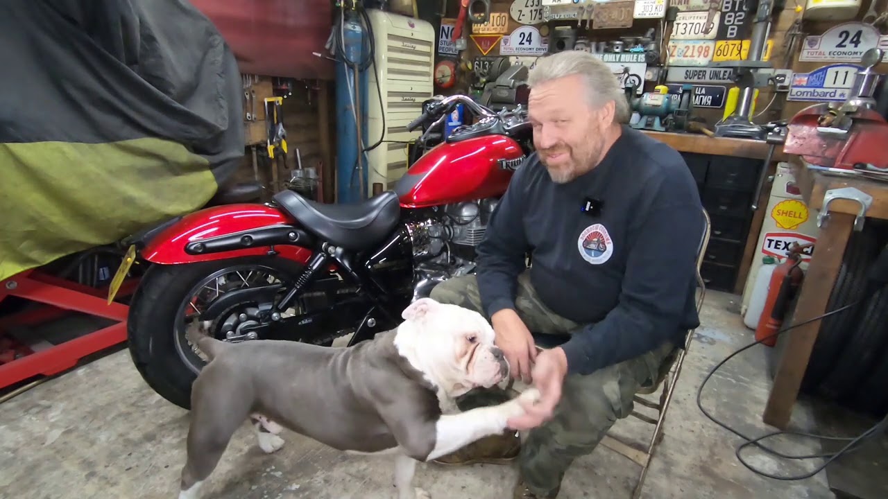 Triumph America update and start up