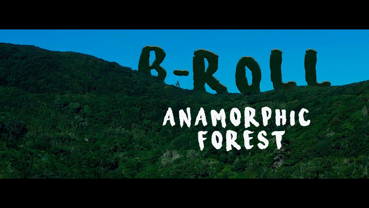 ¡Anamorphic Forest!  B-roll Cinematic Sequence  [TENERIFE]  2020