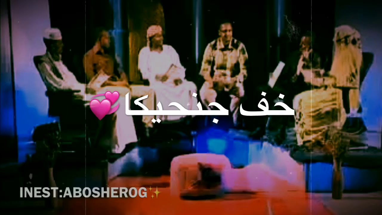 مجادعه فرعون ومروة التوم