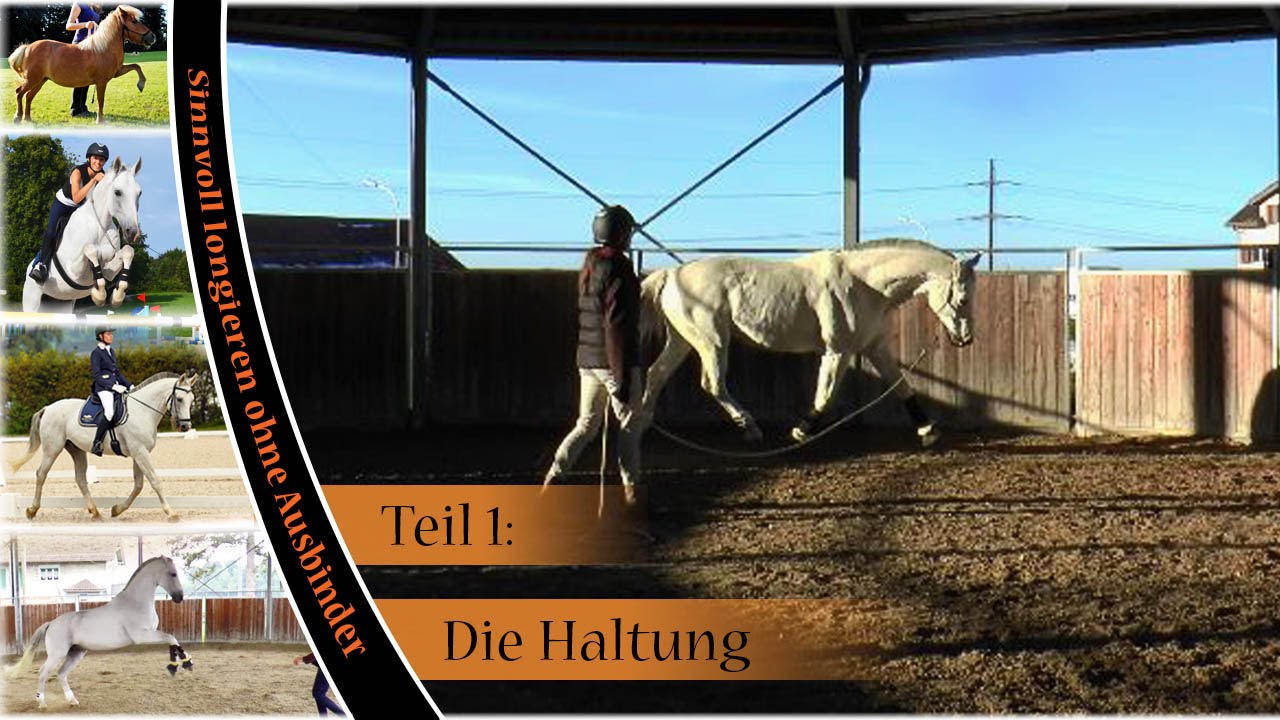 [Sinnvoll longieren ohne Ausbinder] Teil 1: Die Haltung