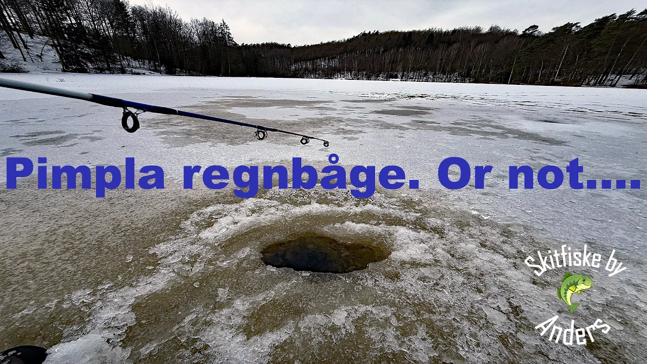 Pimpla regnbåge. Ice fishing.
