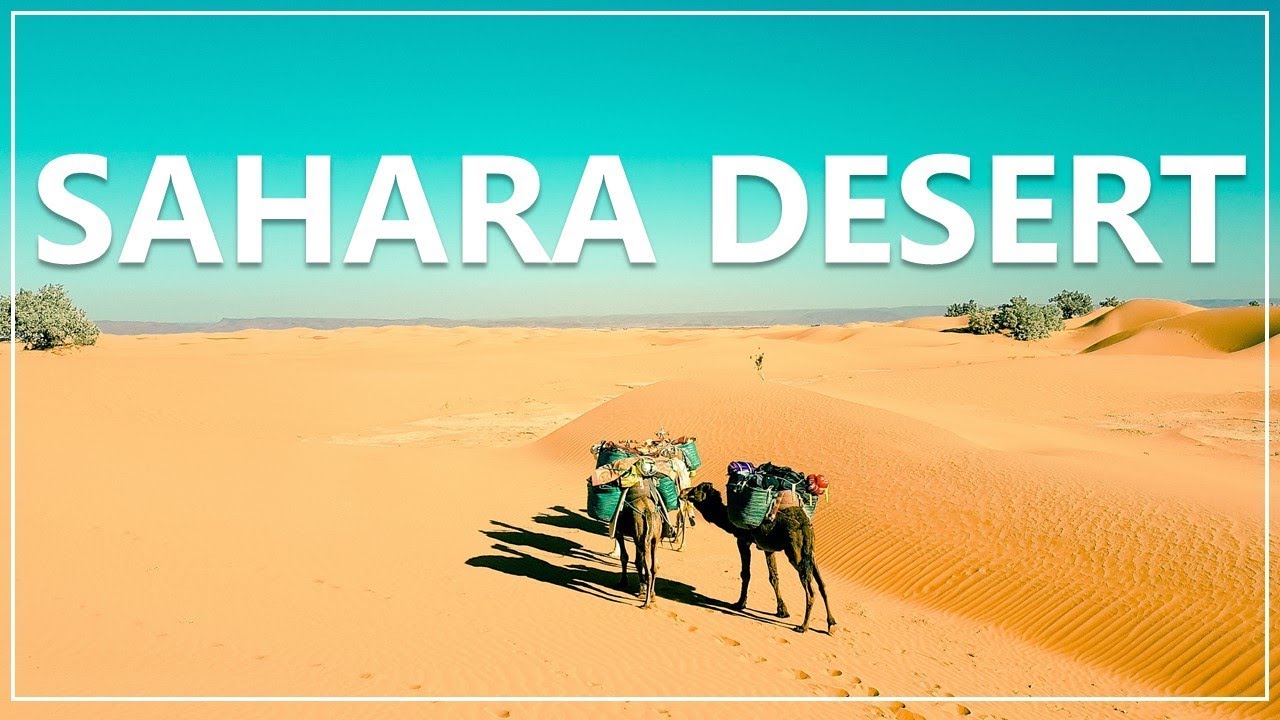 HOW TO TREK THE SAHARA DESERT | Morocco Desert Camping
