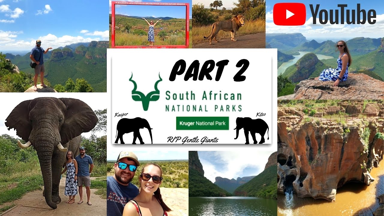 Kruger National Park Vlog Part 2 / Hazyview / Blyde River Canyon / Elephant Interaction