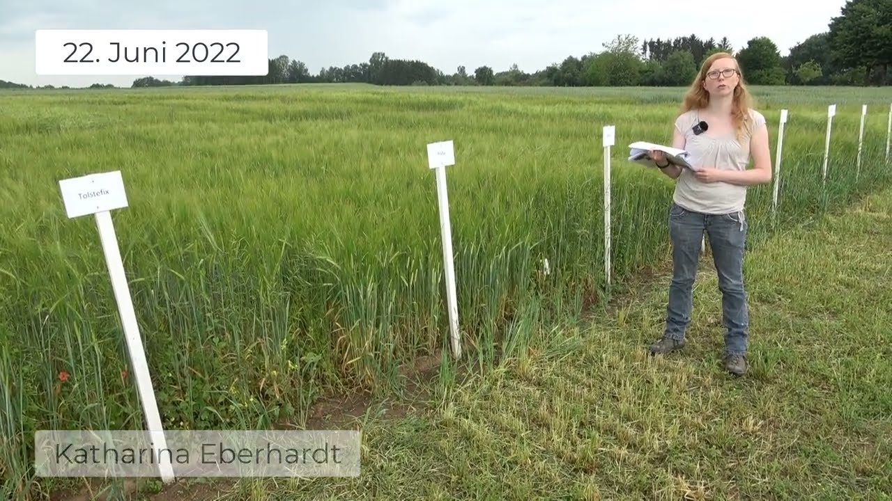 Pflanzenbau aktuell - Öko Feldtag 2022 - Sommergerste und Sommerweizen