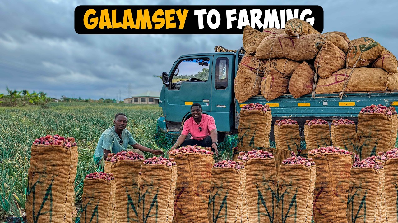 How He Makes GHS75,000($4,770) From His Acre of Onion Farm in Ghana #onion #onionratetoday #onions