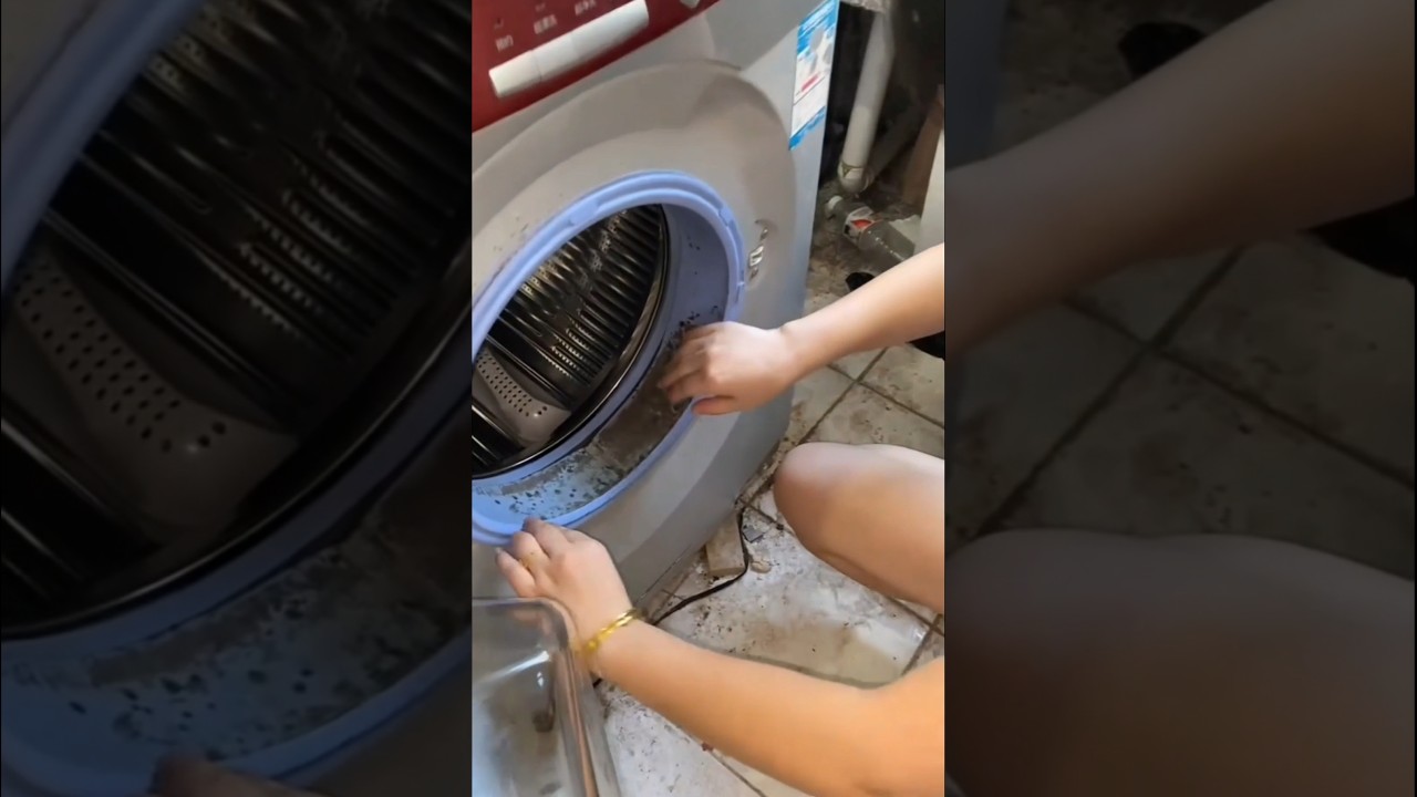 Removing mold from washing machine rubber