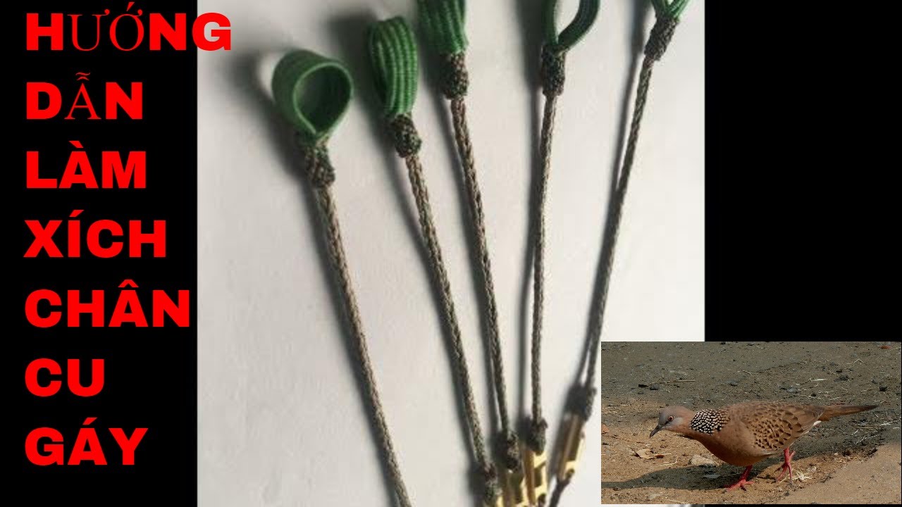 Hướng Dẫn Làm Xích Chân Cu Gáy 0965143668| Terkukur  | นกกาเหว่า | burrung  tali kali