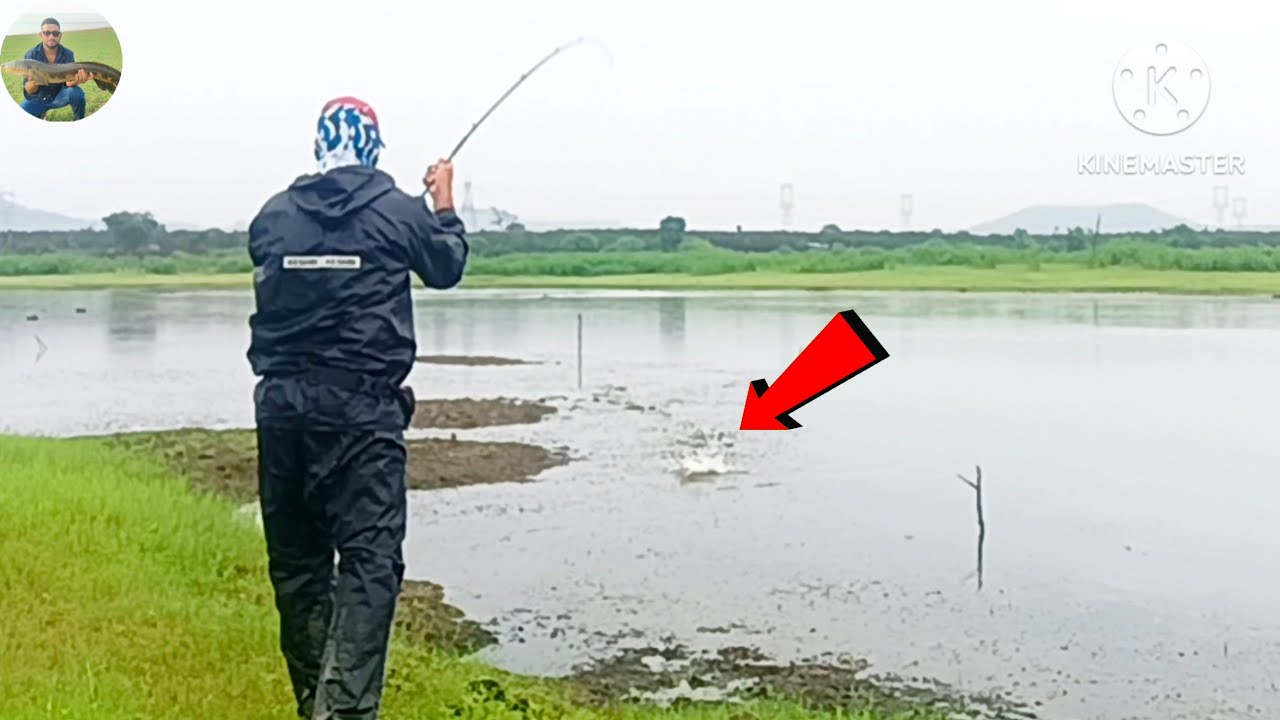 Back To Back Attacks Snakehead Murrel Fishing How to Catch बारिश मे नदी का शिकार 😱😱