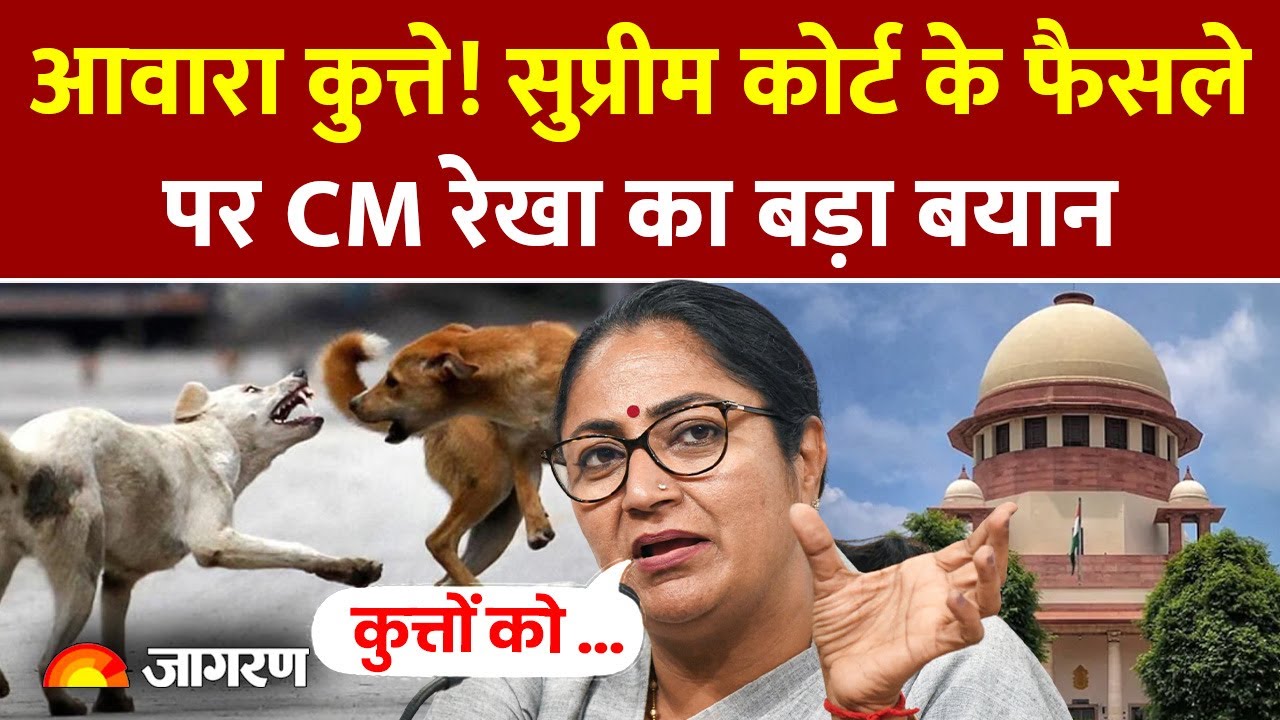Supreme Court के आदेश पर Stray Dogs पर बोली CM Rekha Gupta| Street Dog |SC on Dogs|Dog Bite| Pet Dog