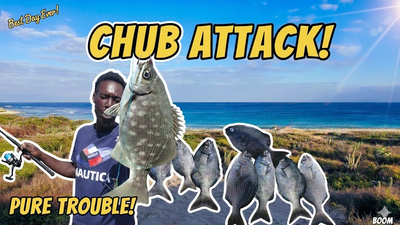 Атака голавлей! 🎣 Они кусали без остановки!