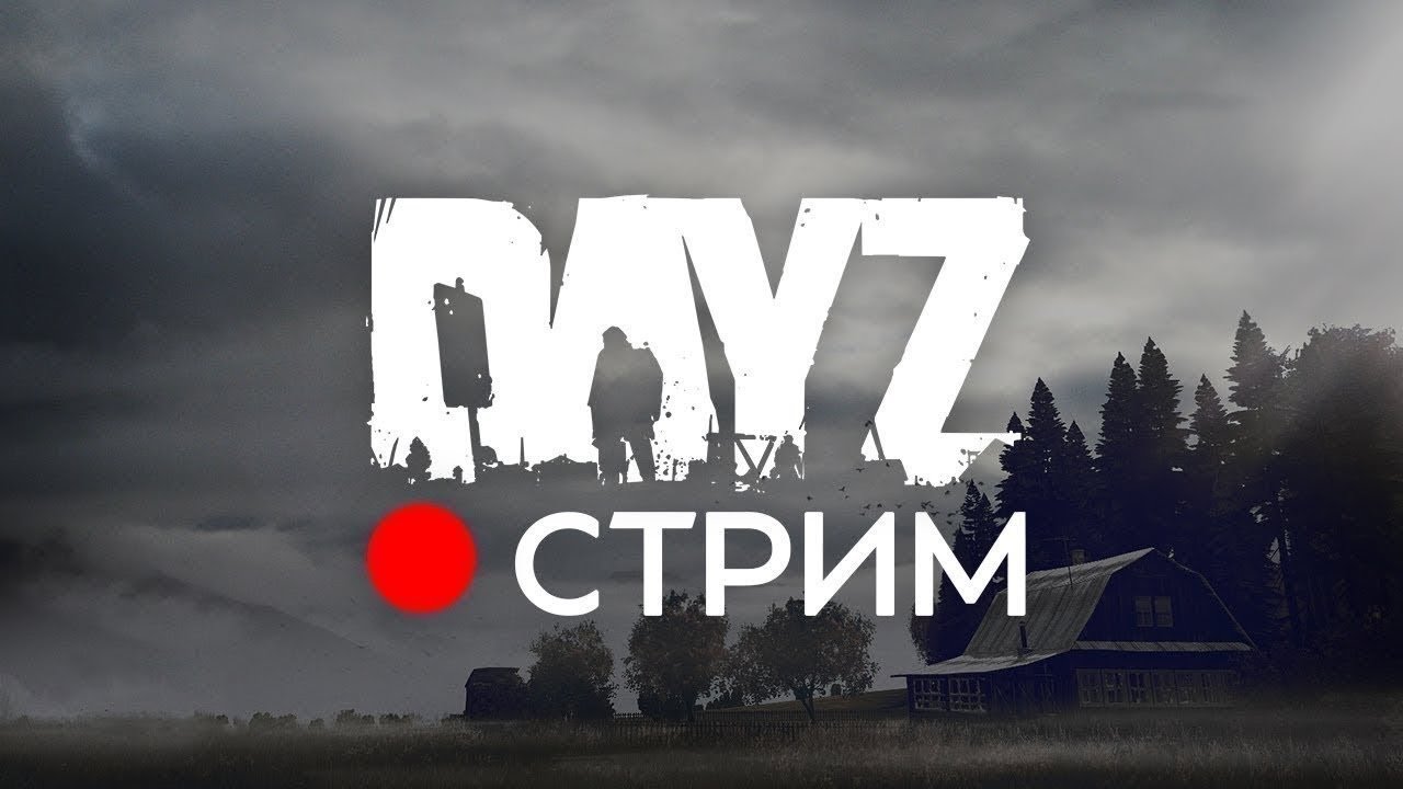 Arma II DayZ Epoch