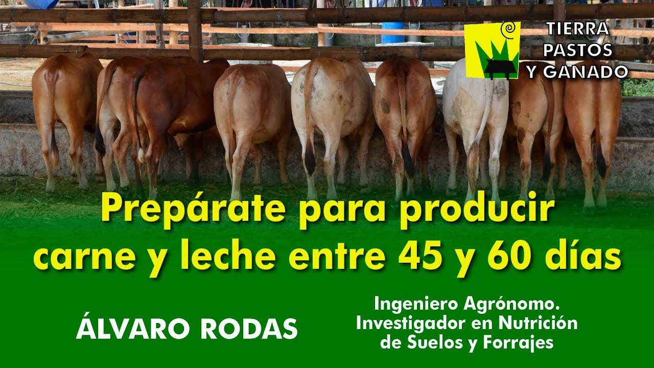 Prepárate para producir carne y leche entre 45 y 60 días con nuestra tecnología