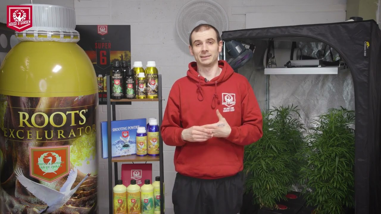 House & Garden Shooting Powder and Top Shooter