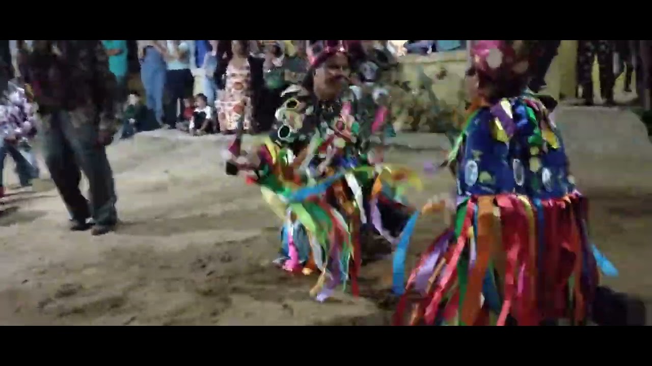 Alguns momentos da apresentação de ontem 🎊🐂