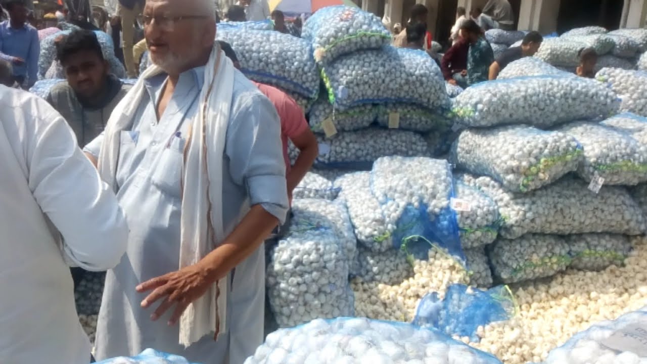 Kalmana Market Nagpur !! rate today लहसुन का आज भाव #nagpur #apmcmarket #aajkabhav