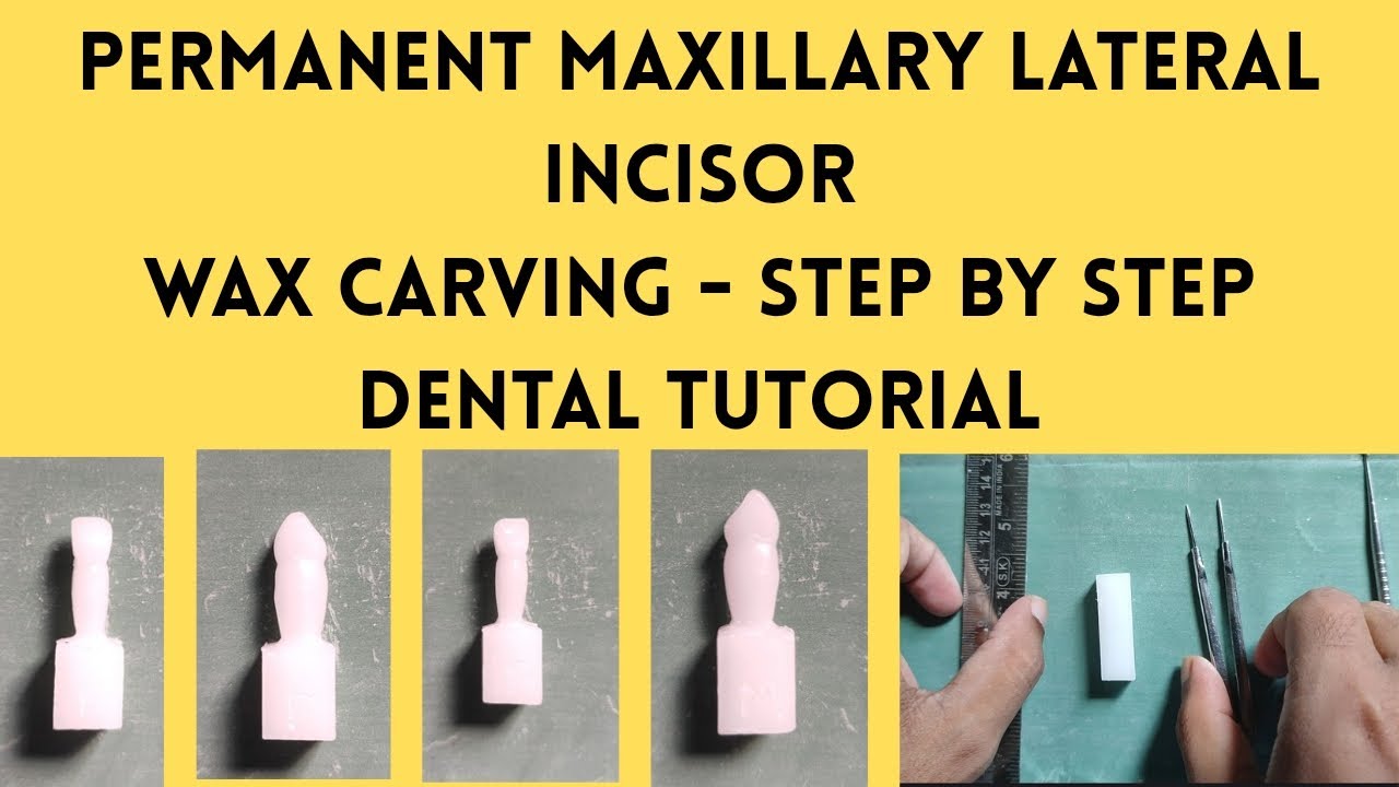 Permanent Maxillary Lateral incisor wax carving | Step by step | Dental Tutorial